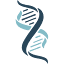Icon of SegMedic