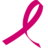Icon of Breast Cancer Research Foundation